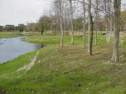 Picture of Evangola State Park Wetlands