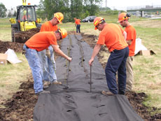 Living Snow Fence being planted by Thruway workers